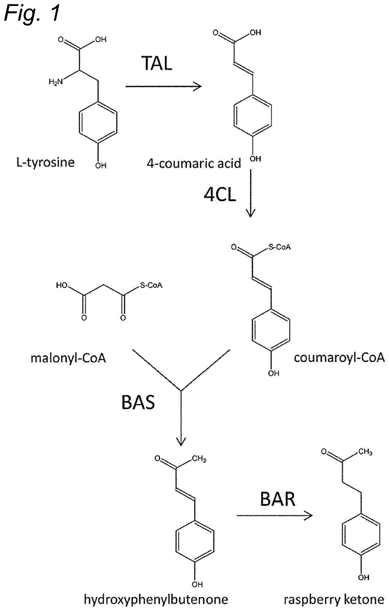 Production of a flavour compound in a host cell