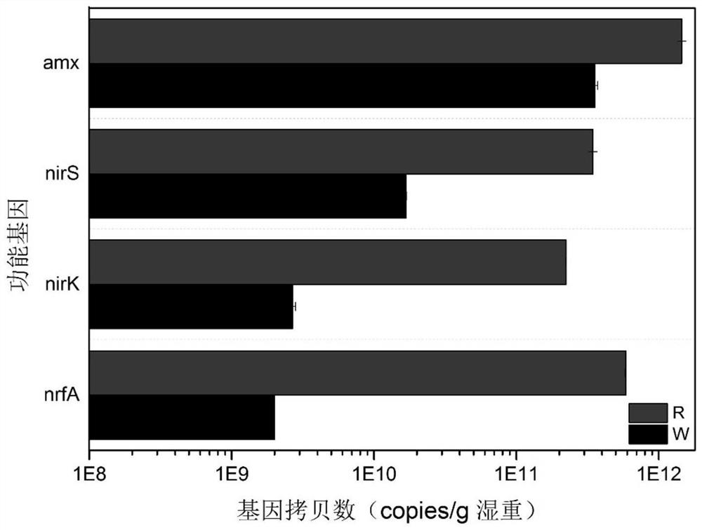 A method for efficient treatment of nitrogen-containing wastewater based on dissimilatory reduction of nitrate to ammonium combined with denitrification coupled with anaerobic ammonium oxidation