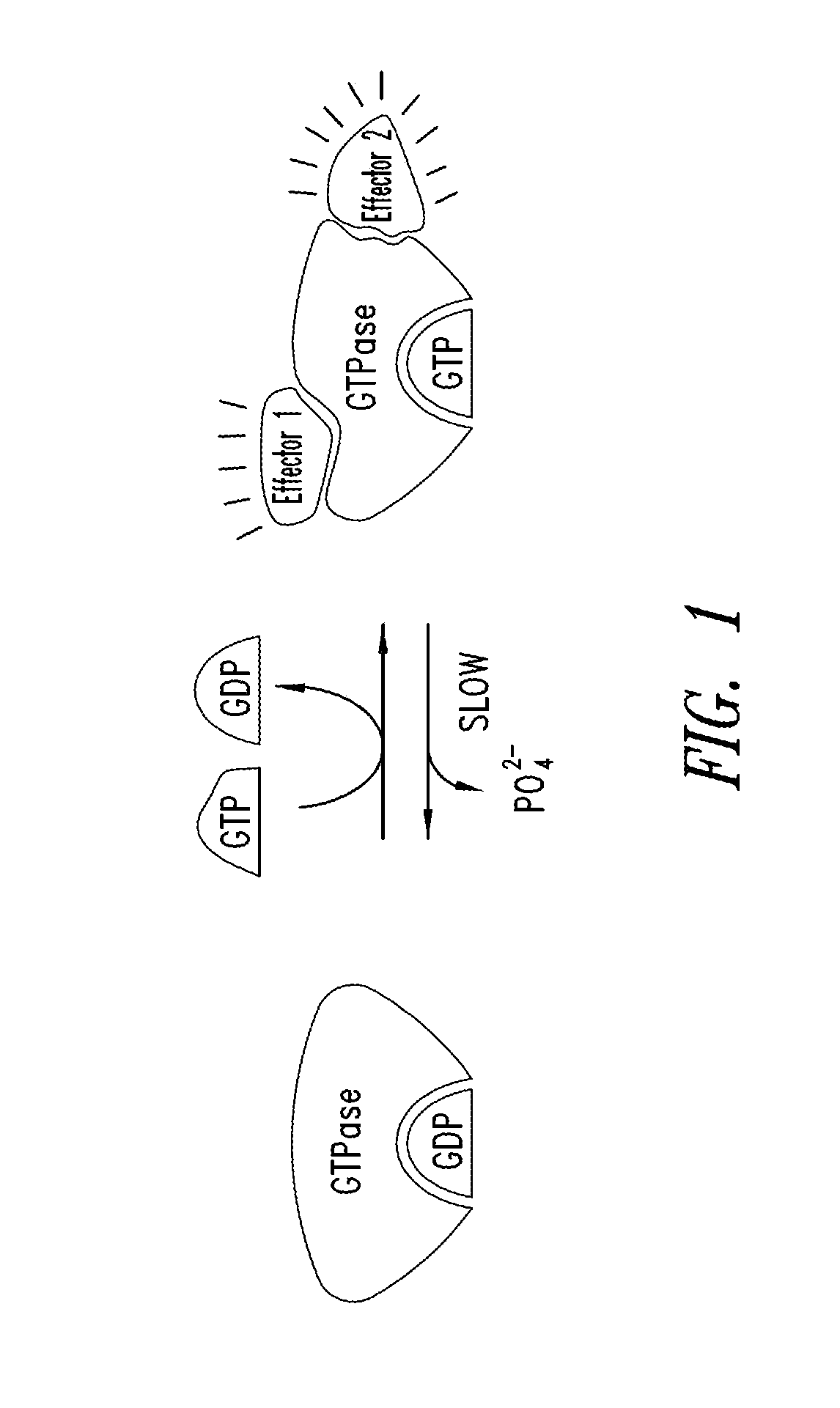 Fused-tricyclic inhibitors of kras and methods of use thereof