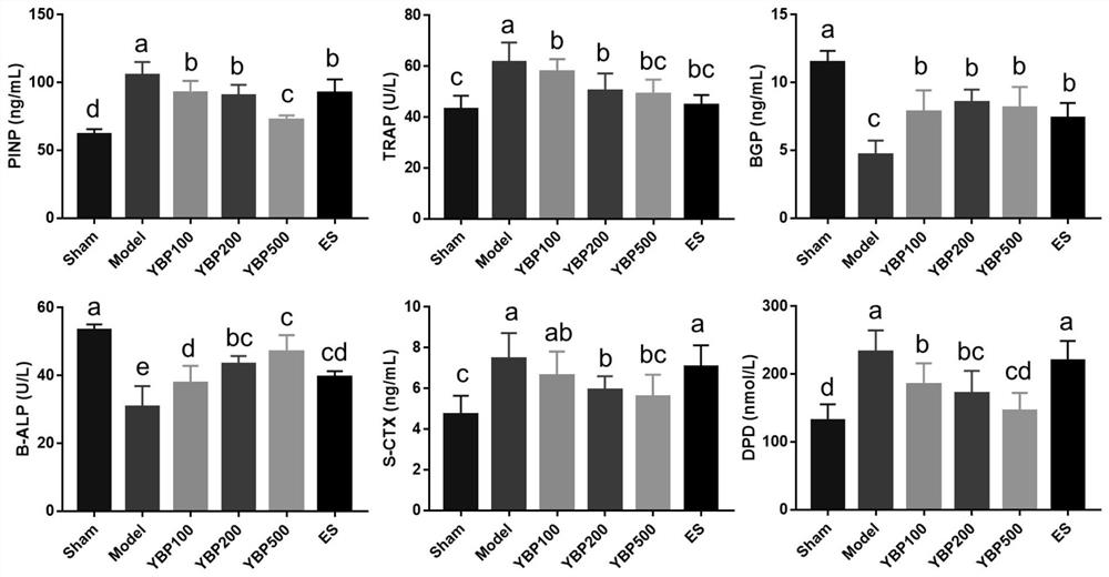 Biomarkers, screening methods and uses of osteopeptide intervention in the treatment of osteoporosis