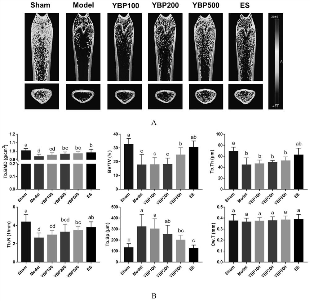 Biomarkers, screening methods and uses of osteopeptide intervention in the treatment of osteoporosis