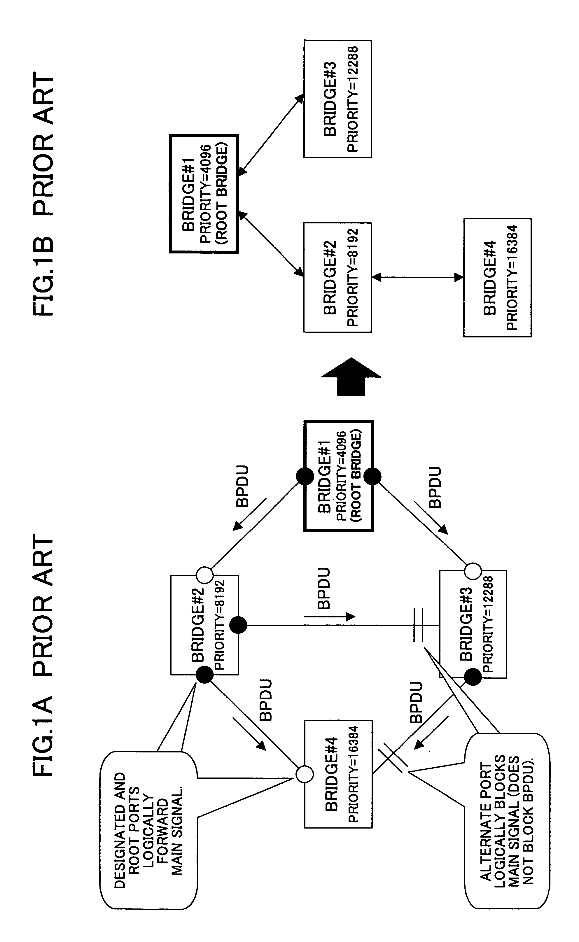 Method for preventing control packet looping and bridge apparatus using the method