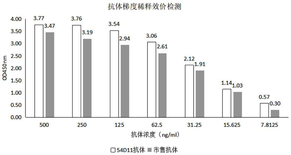 A kind of anti-pla2r recombinant rabbit monoclonal antibody and its application