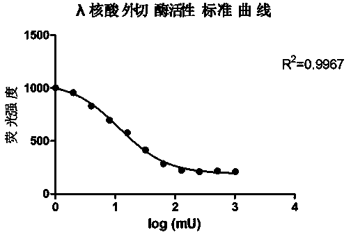 Active determination method for Lambda exonuclease