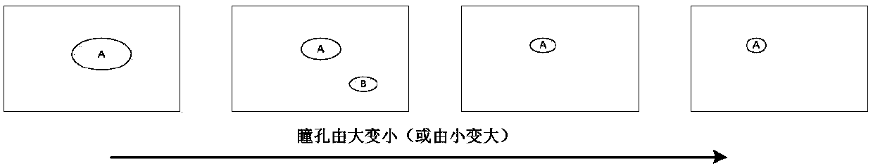 An identification method and device based on a dynamic iris image