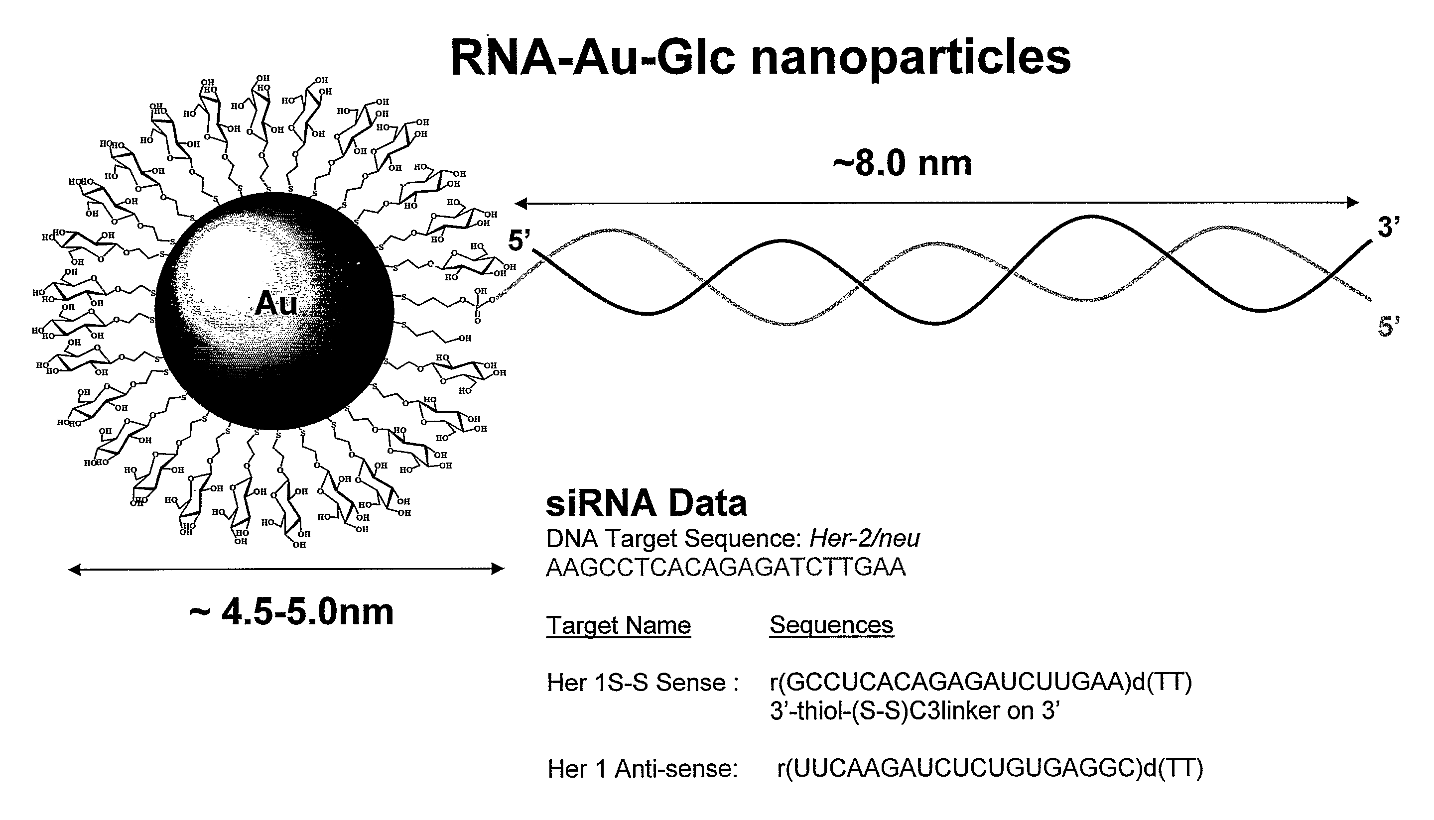 Nanoparticles Comprising Rna Ligands