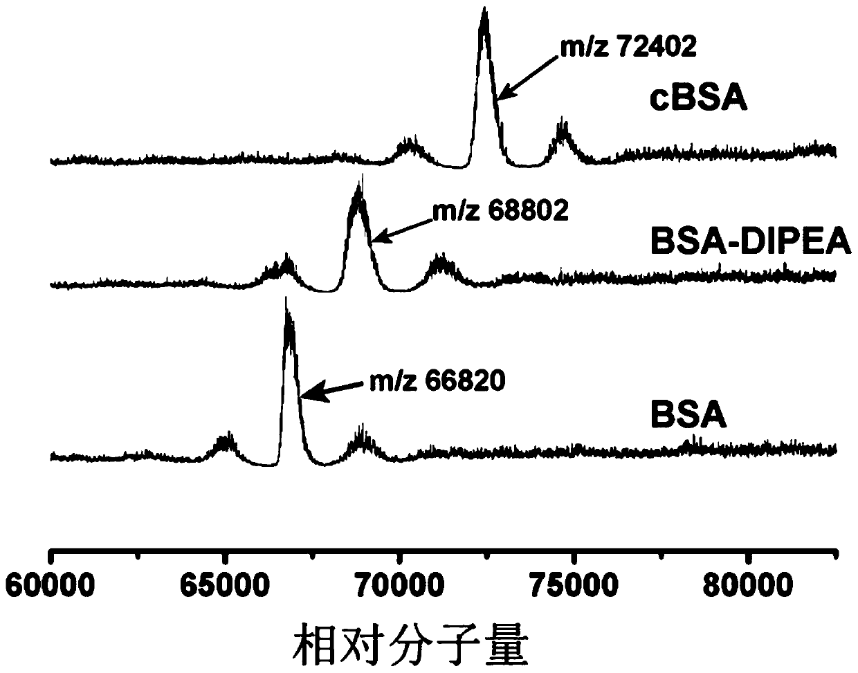 A bionic nano-erythrocyte gene carrier and its preparation method and application