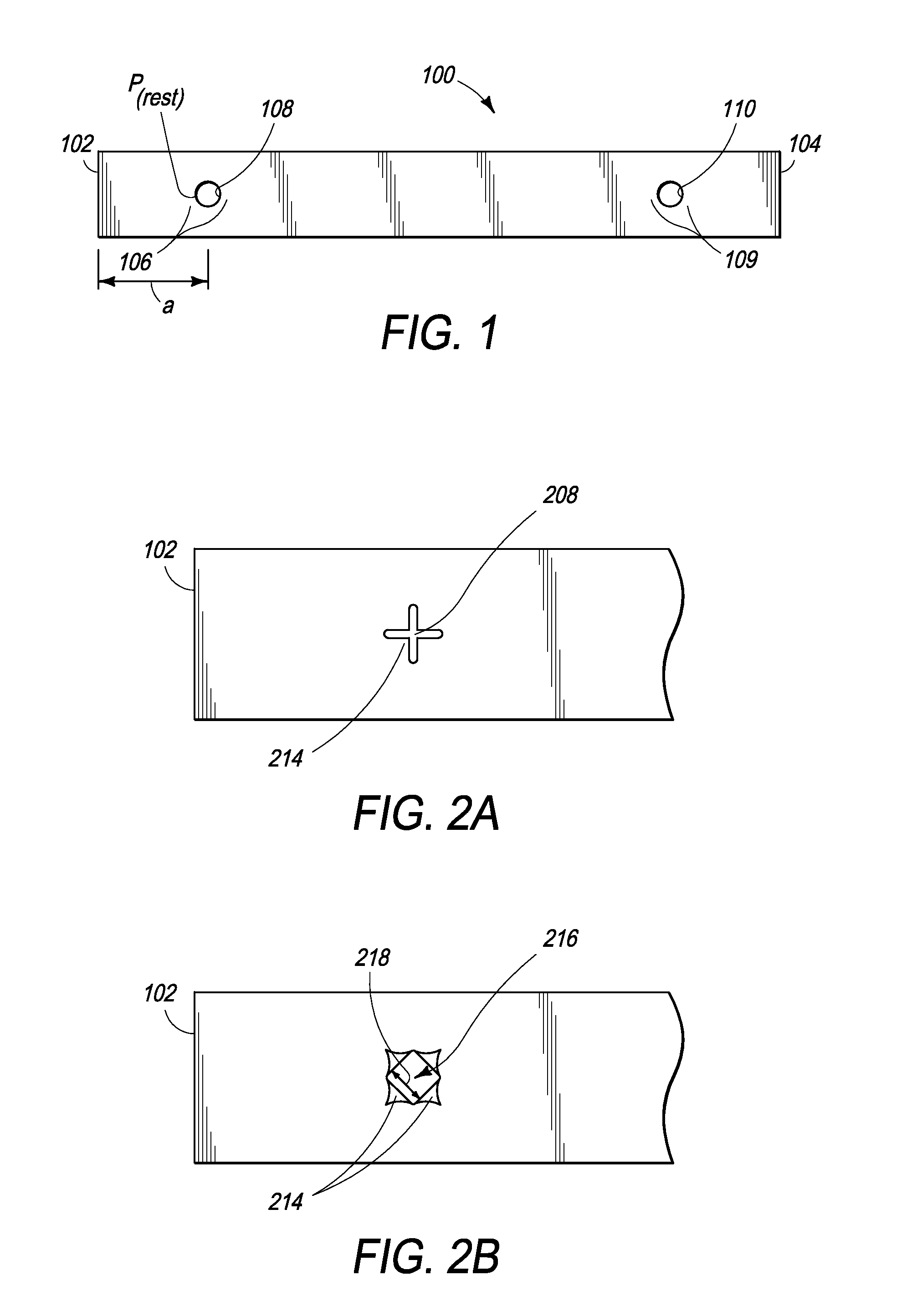 Method and apparatus for land and aquatic exercise