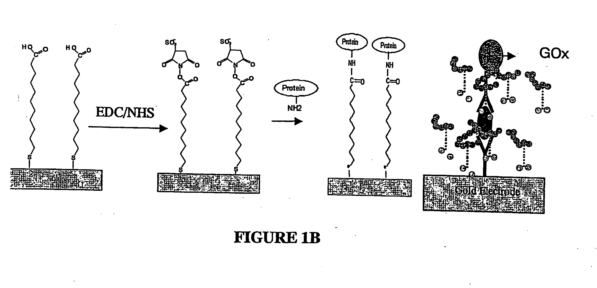 Method for detecting analytes by means of an analyte/polymeric activator bilayer arrangement