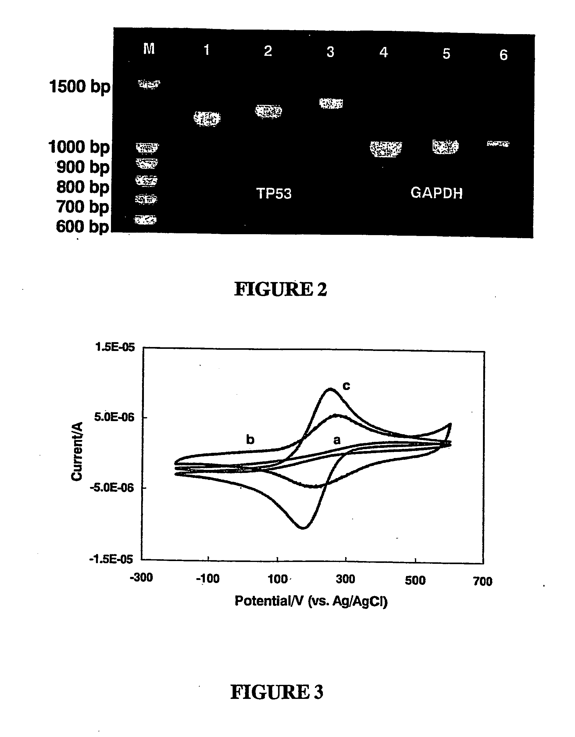 Method for detecting analytes by means of an analyte/polymeric activator bilayer arrangement