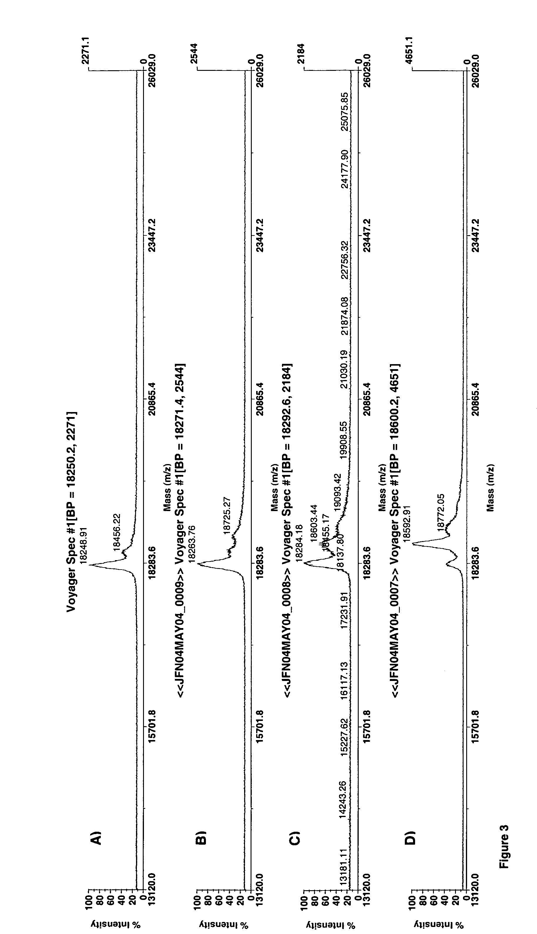 Formation of novel erythropoietin conjugates using transglutaminase