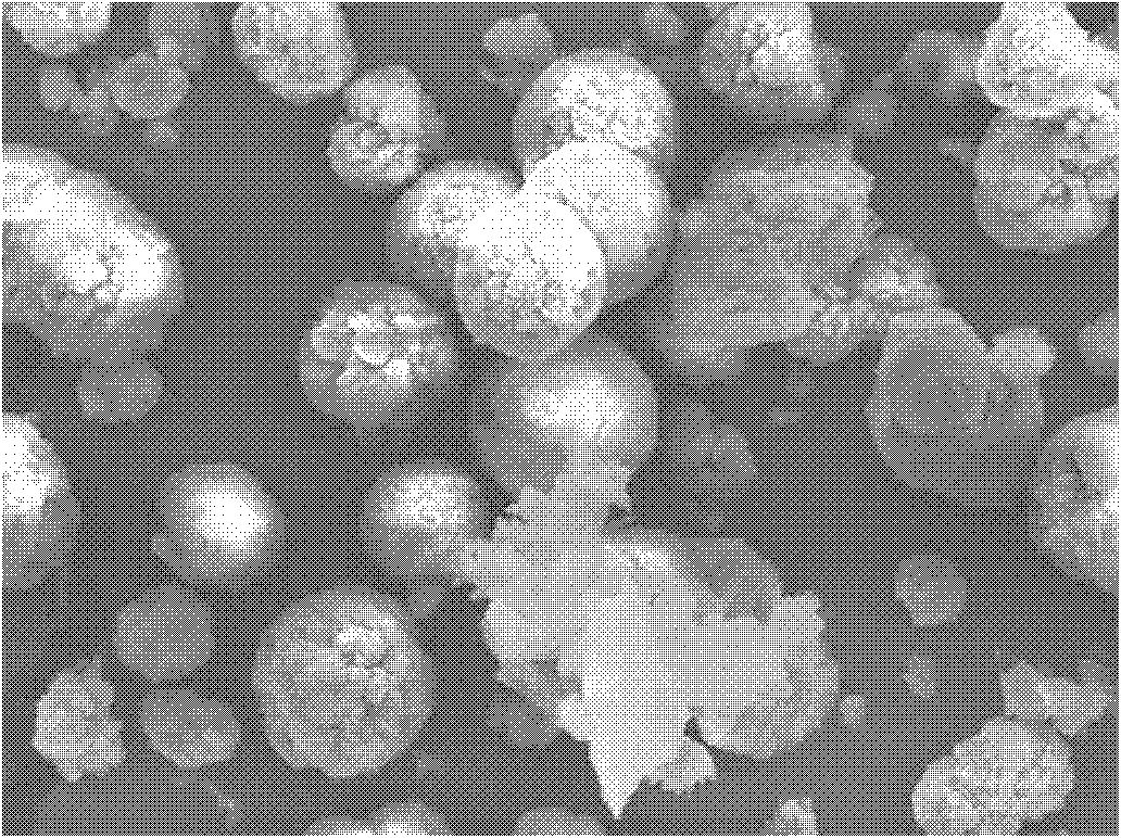 Method for preparing anhydrous magnesium carbonate powder