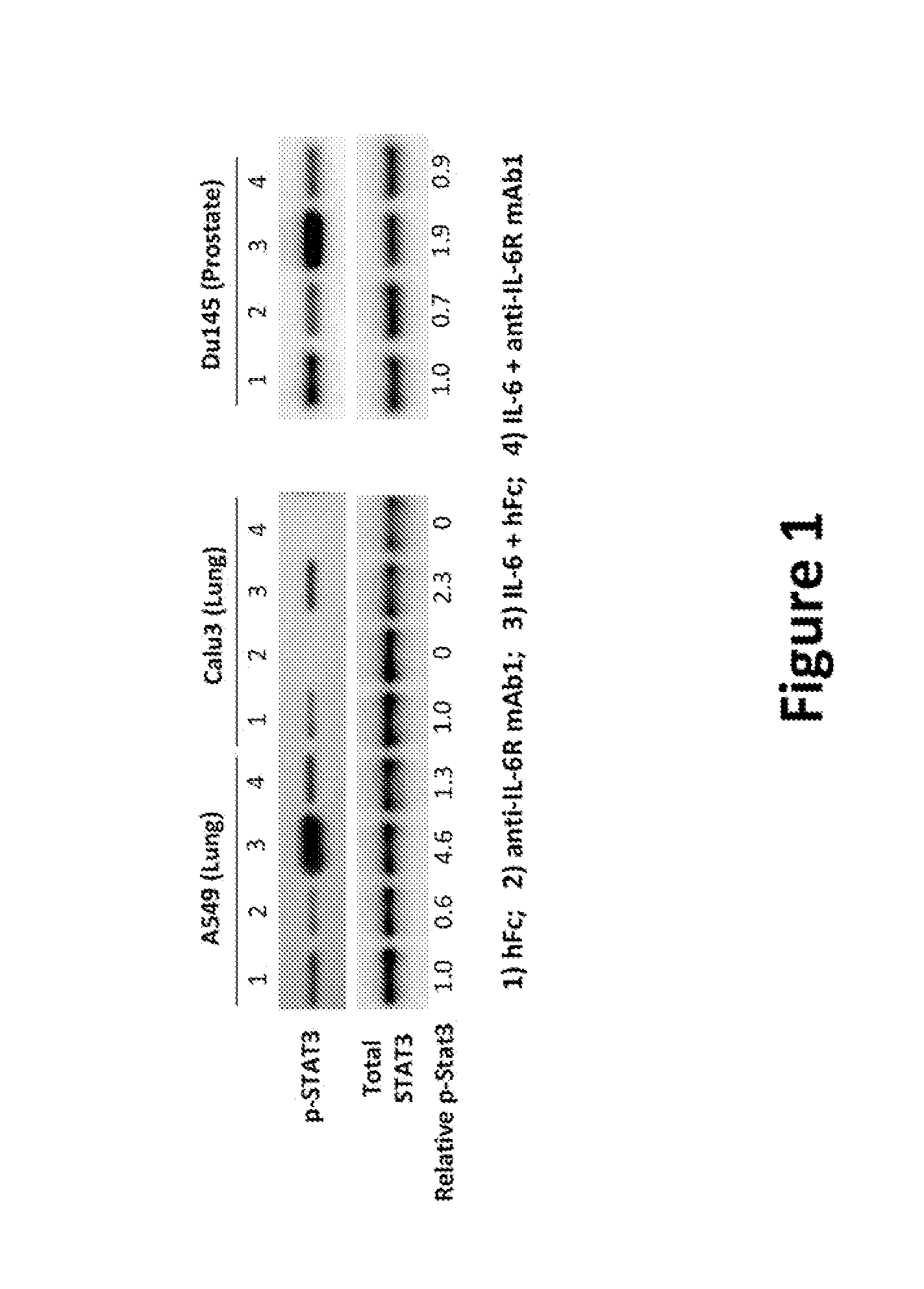 Methods of inhibiting tumor growth by antagonizing il-6 receptor