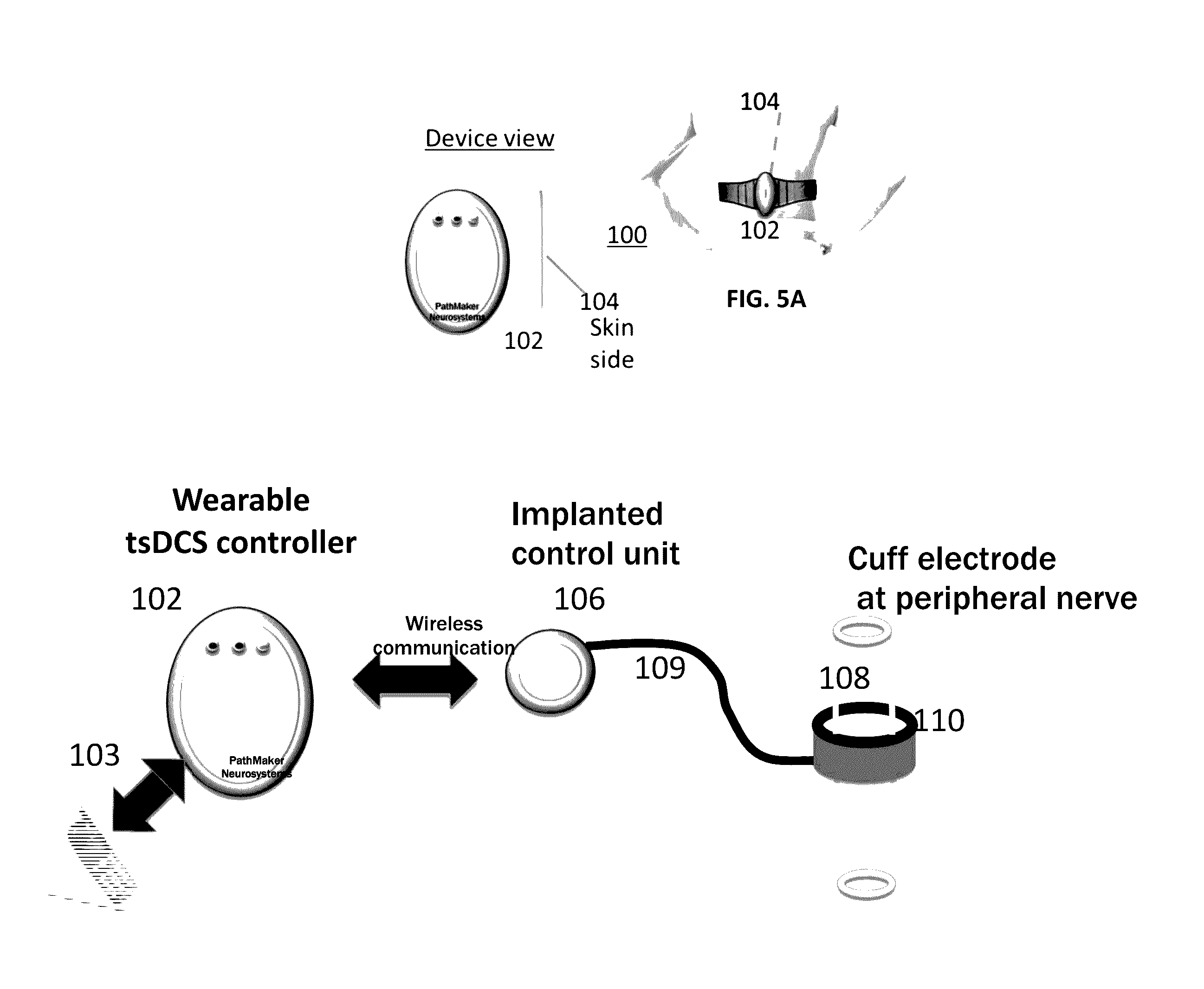 Apparatus for modulation of effector organs