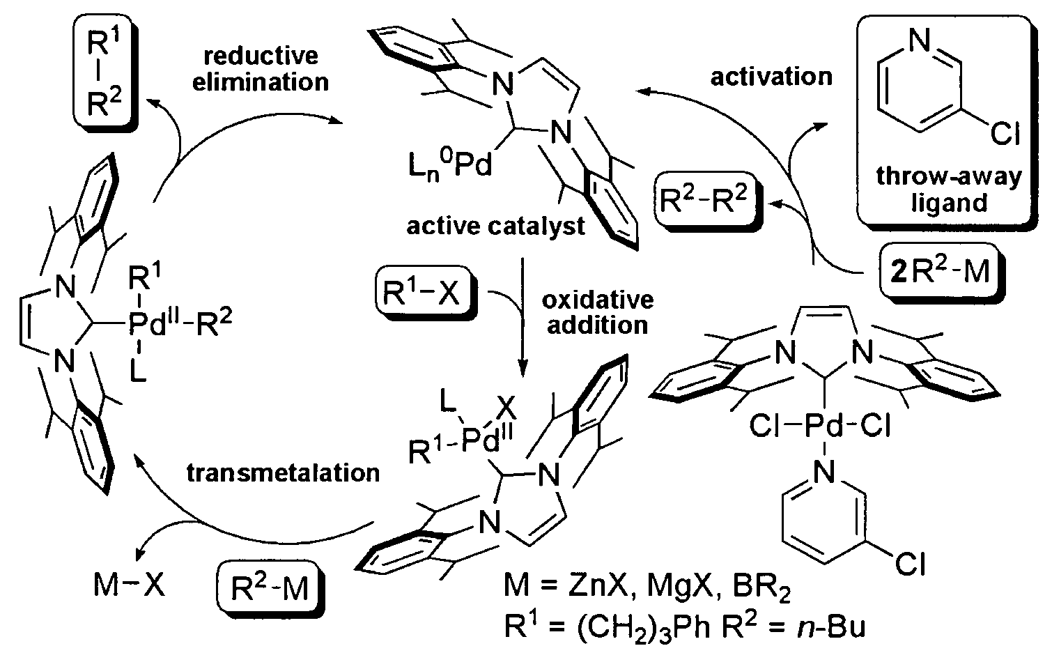 Transition metal complexes of N-heterocyclic carbenes, method of preparation and use in transition metal catalyzed organic transformations