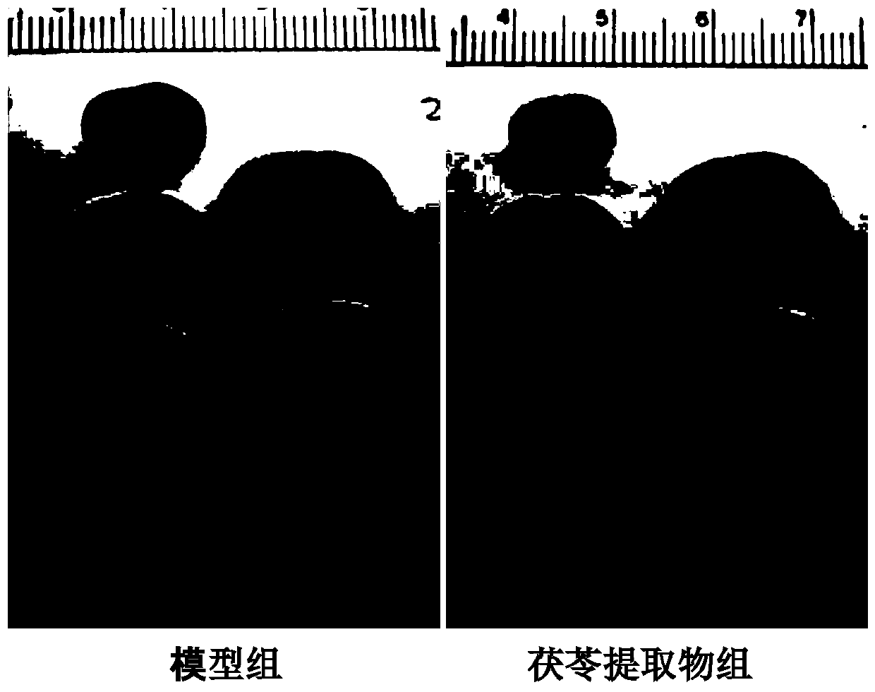 Preparation method of poria cocos extract for treatment of cerebral apoplexy and application