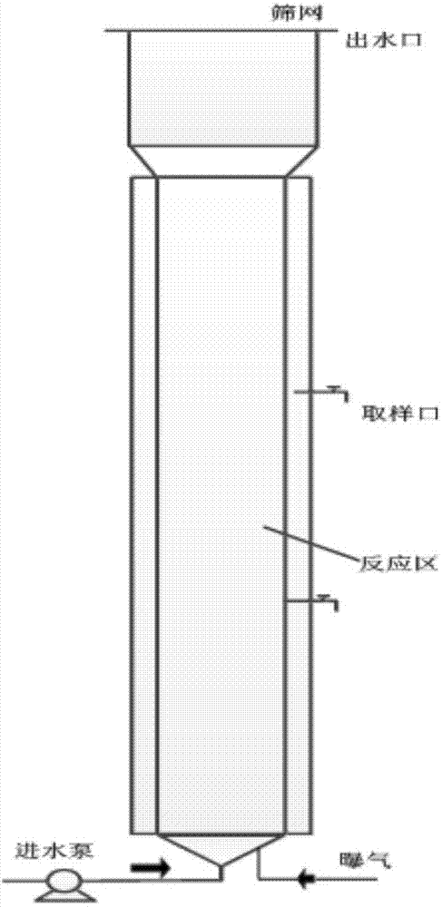 Starting method of nitrosated granule sludge for treating urban sewage