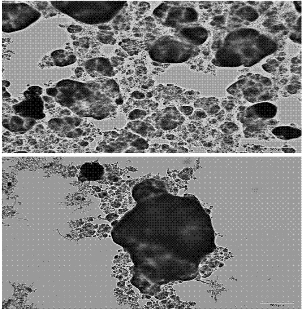 Starting method of nitrosated granule sludge for treating urban sewage