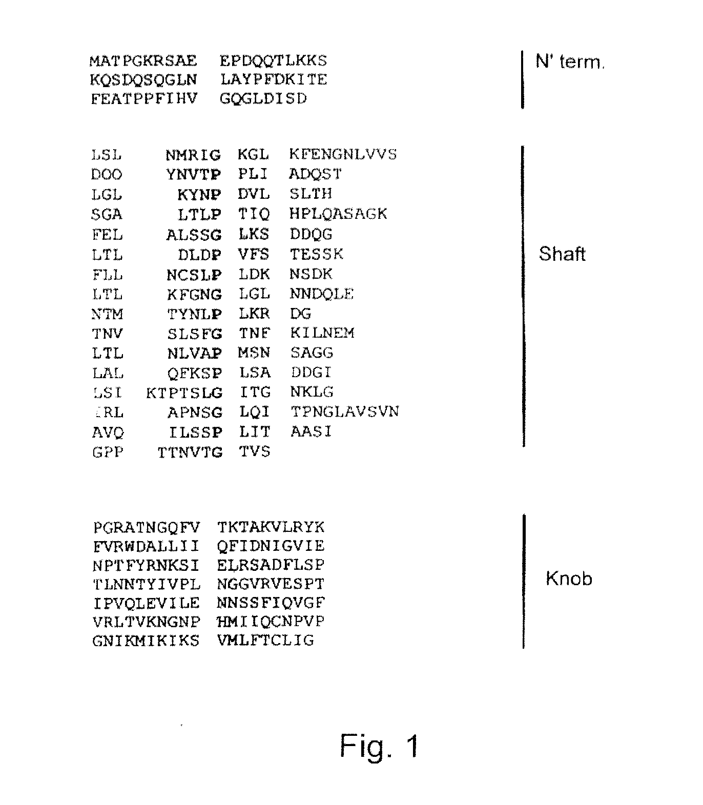 Subunits of the adenovirus fiber protein and uses thereof as vaccines