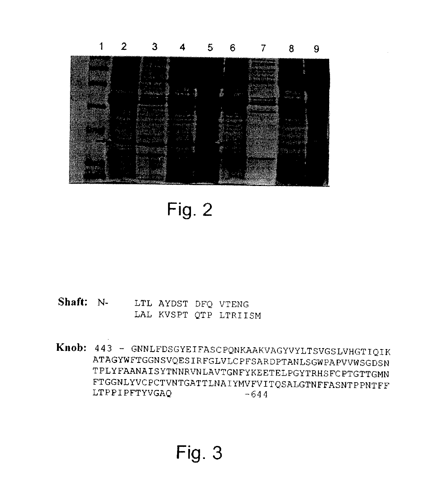 Subunits of the adenovirus fiber protein and uses thereof as vaccines