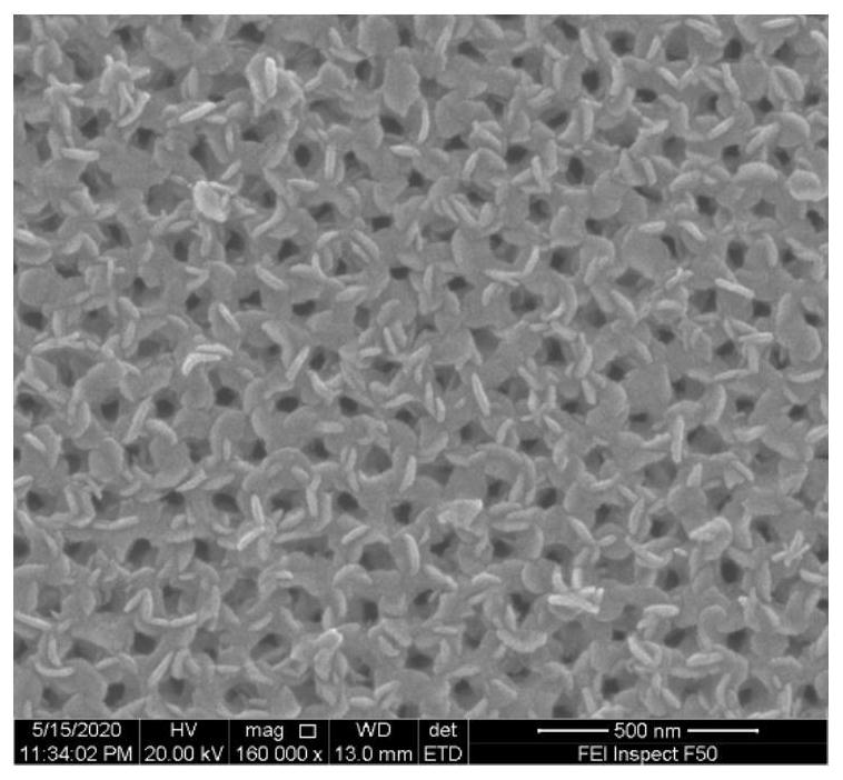 Preparation method of molybdenum disulfide nanotube and molybdenum disulfide nanotube