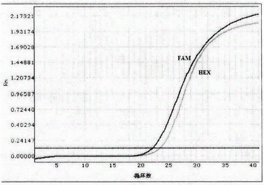 Kit for detecting human COX-2 gene polymorphism and application thereof