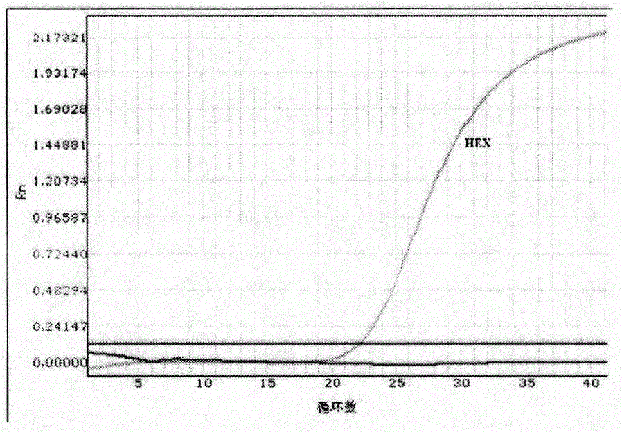 Kit for detecting human COX-2 gene polymorphism and application thereof