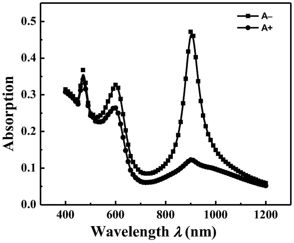 A micro-nano optical structure