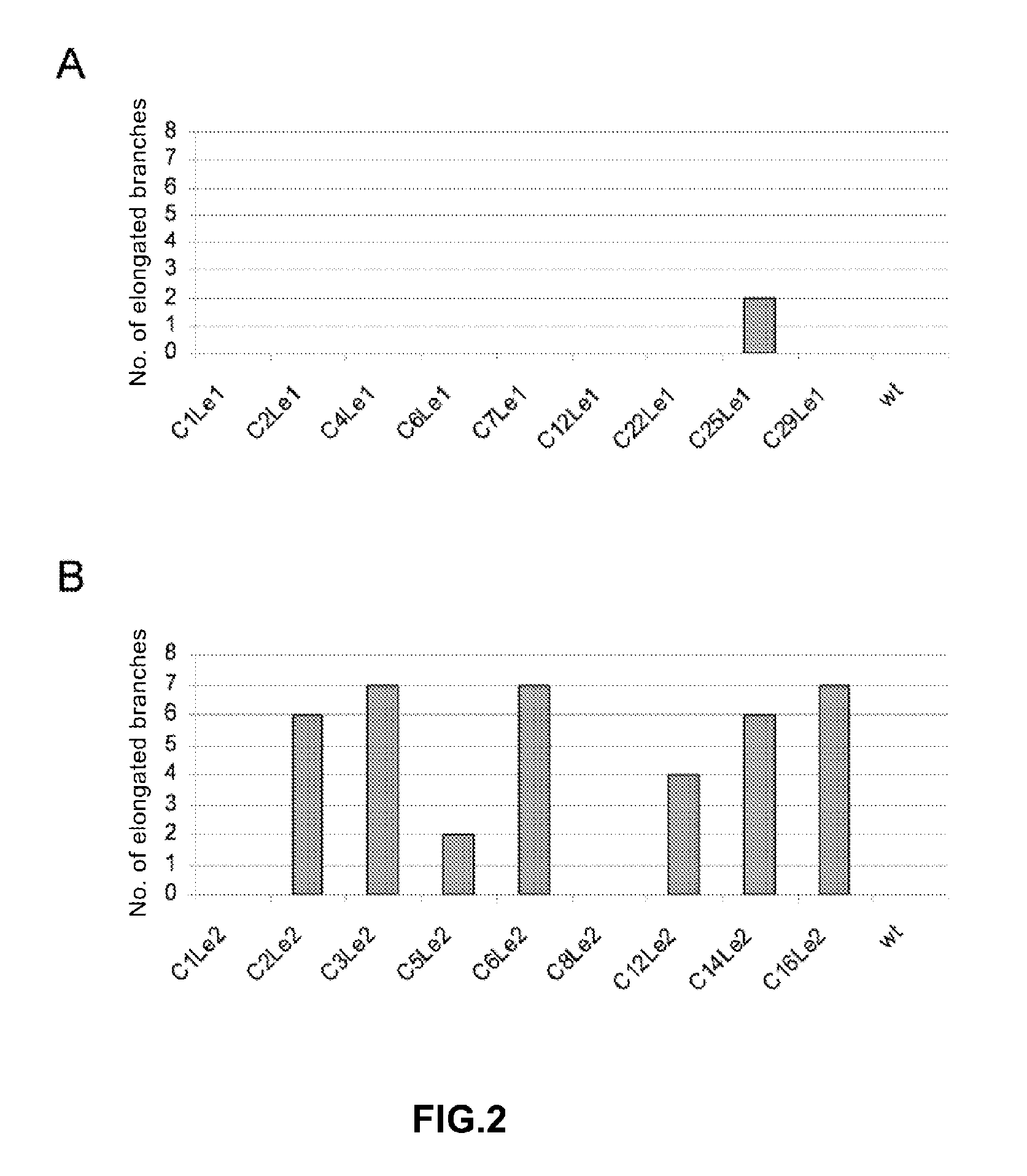 Genes regulating plant branching, promotors, genetic constructs containing same and uses thereof