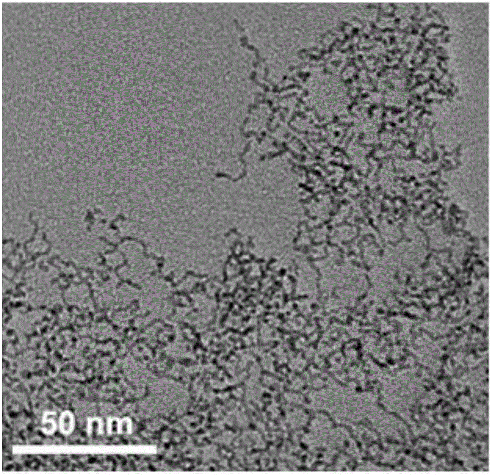 Sub-2nm ruthenium (Ru) nanowire network and preparation method thereof