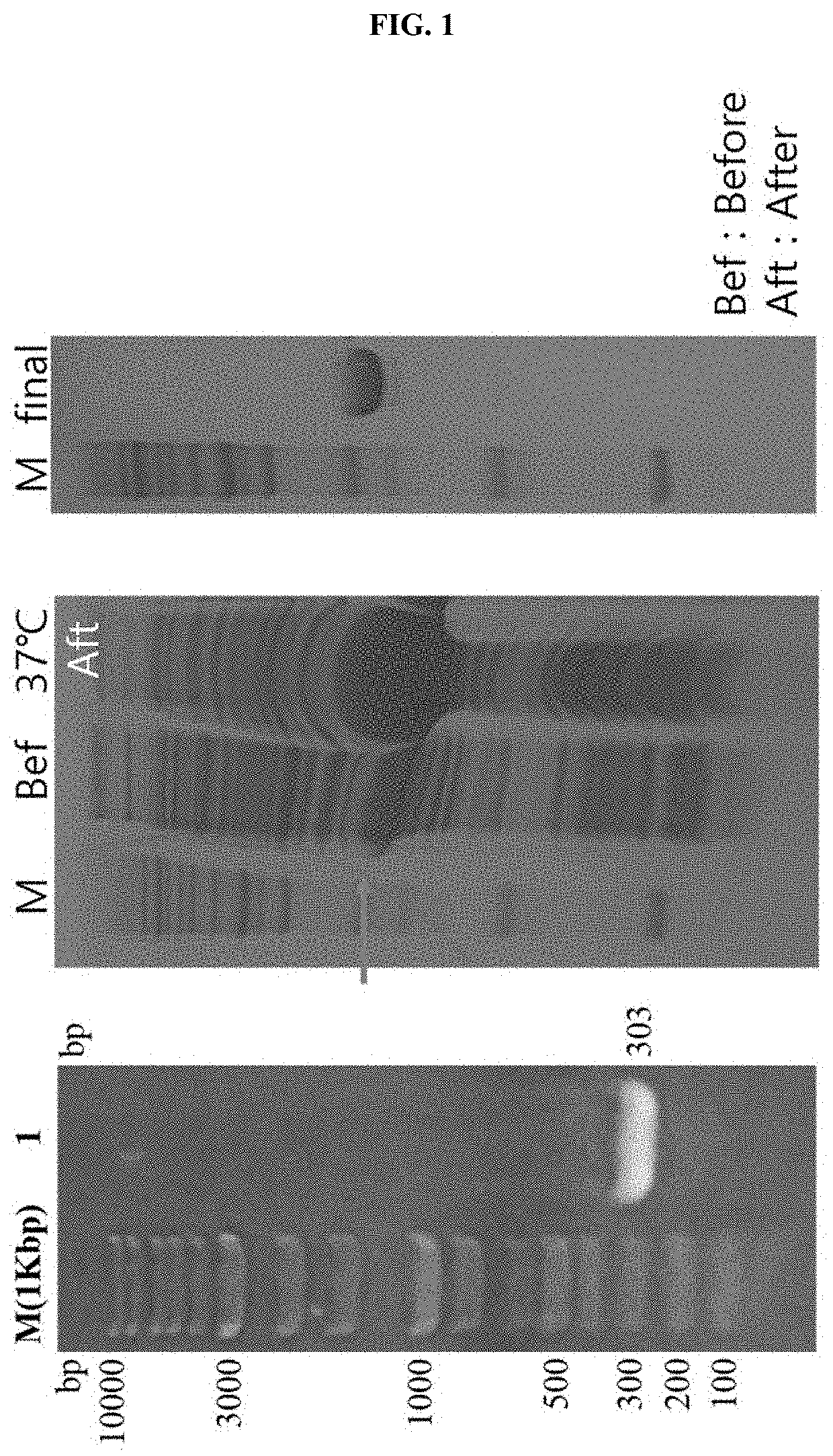 DNA aptamer specifically binding to CFP10, and use thereof