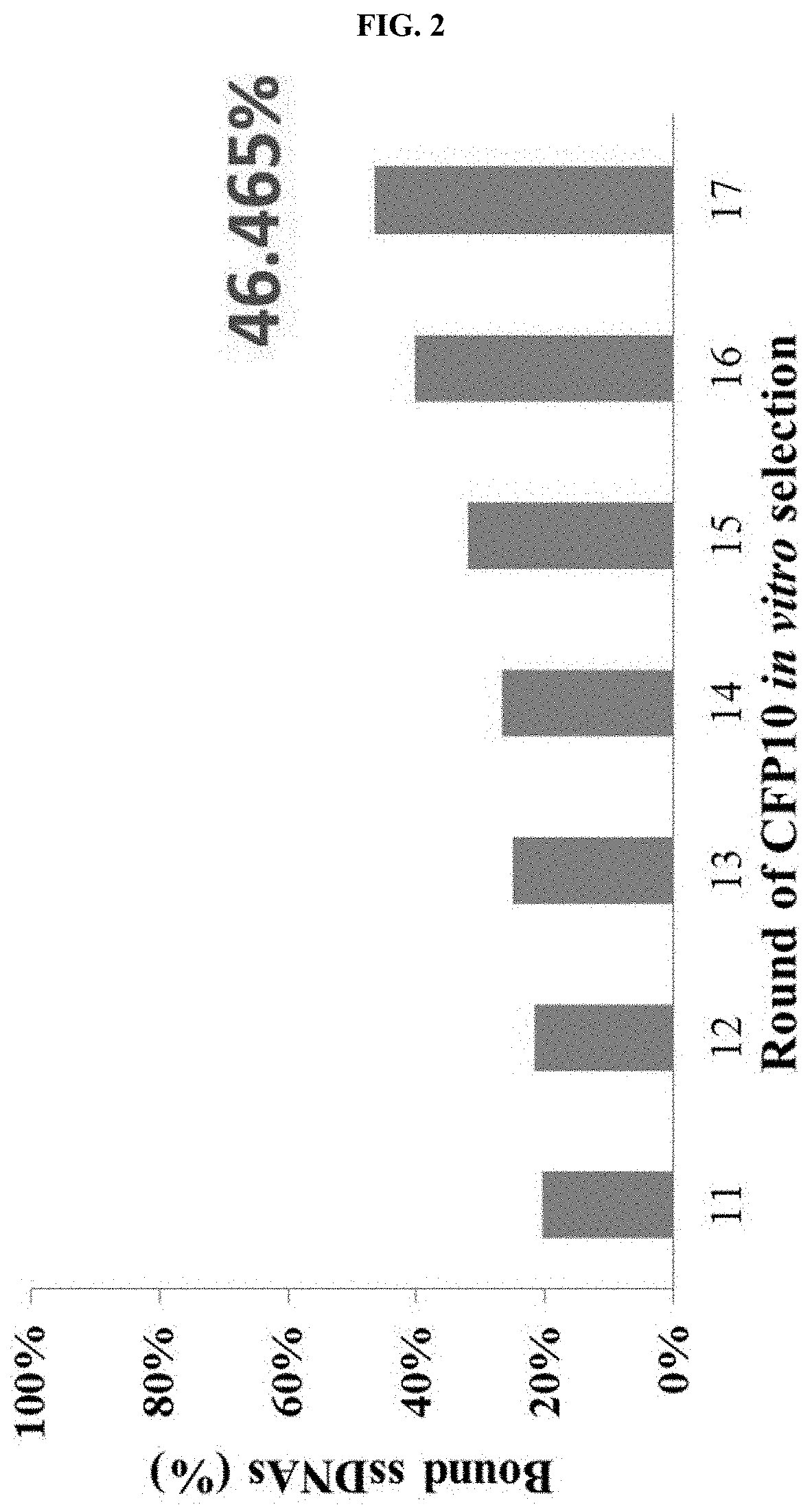 DNA aptamer specifically binding to CFP10, and use thereof