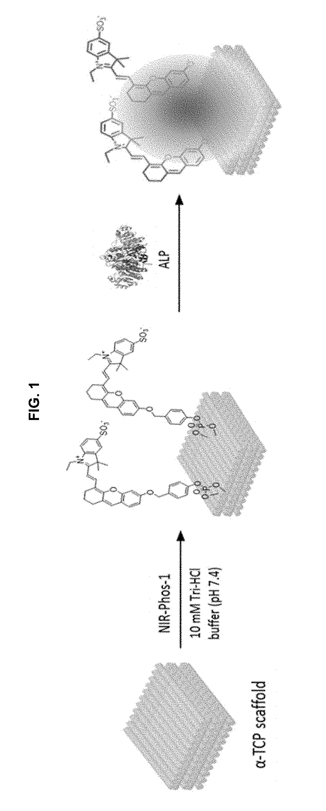 Near-infrared fluorescent probe for detecting alkaline phosphatase and manufacturing method thereof