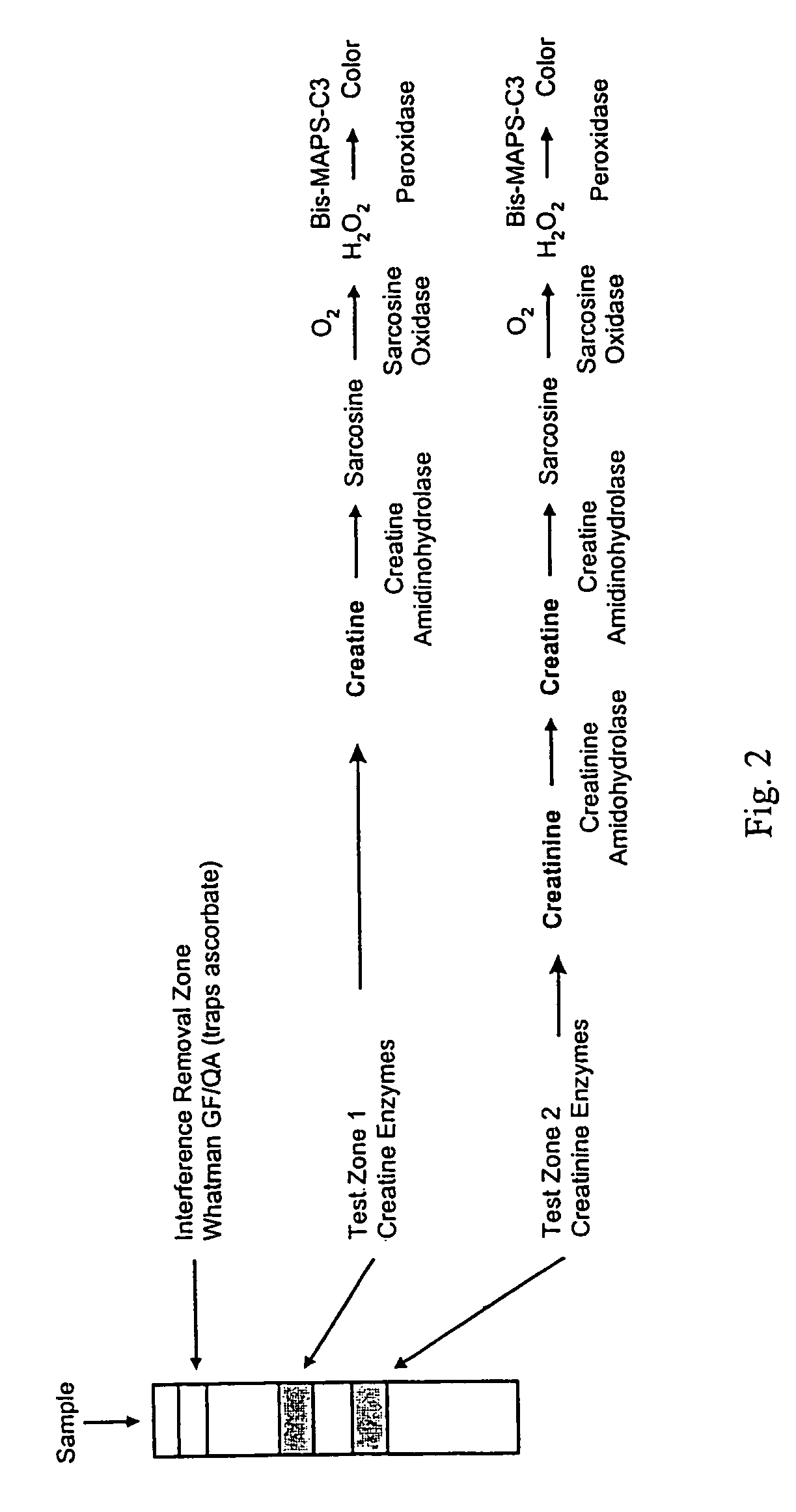 Dry reagent strip configuration and systems and methods for multiple analyte determination
