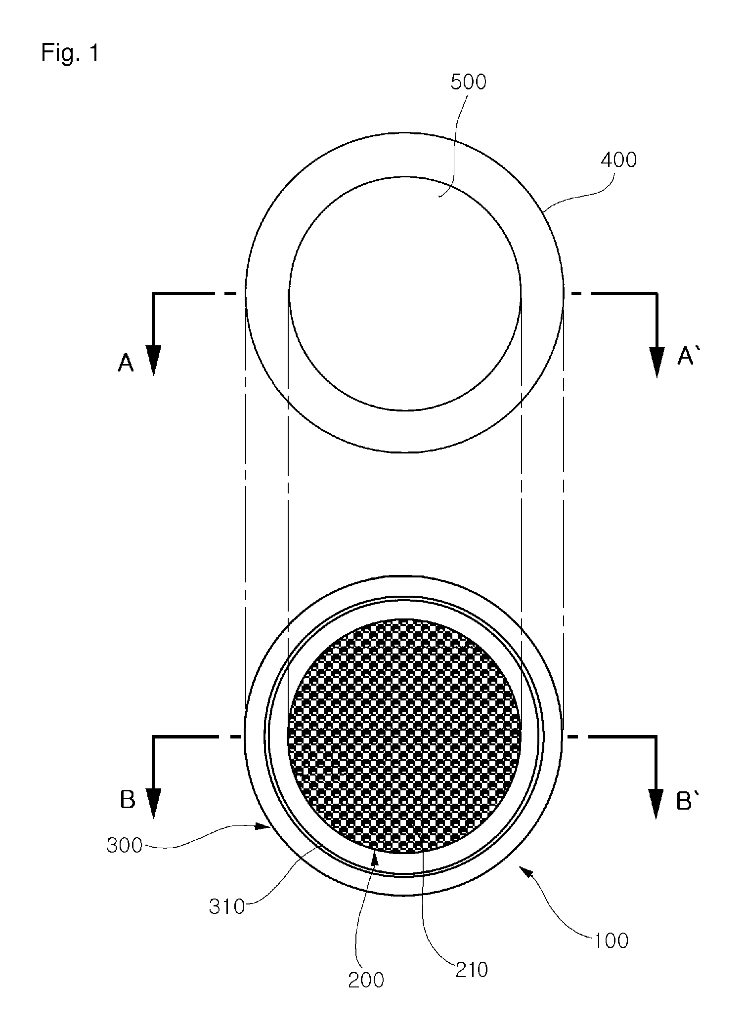 Apparatus for fixing plastic sheet and method of fabricating nano pattern on plastic sheet using the same