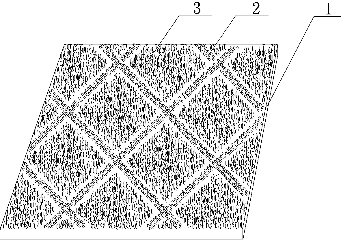 Loop pile fabric and weaving method thereof