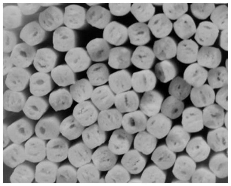 Saccharomyces cerevisiae for improving flavor of noodles, leavening agent, application of leavening agent and method for preparing flour products through fermentation