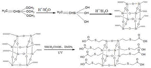 Water-soluble octacarboxyl silsesquioxane tanning agent prepared by mercaptan-alkene click chemistry process and method thereof