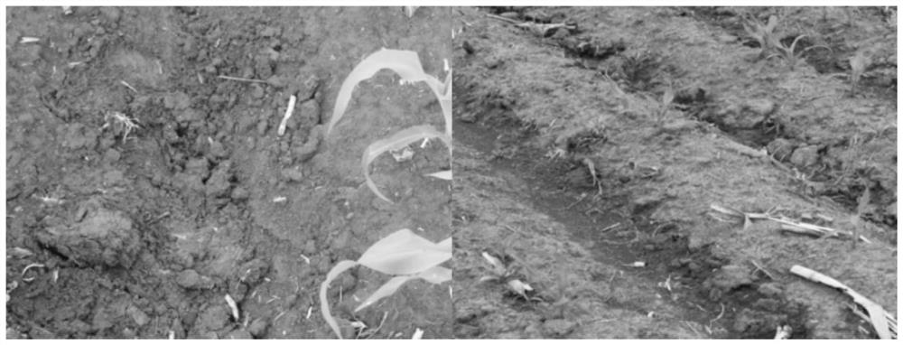 Soil image segmentation and extraction method based on super-green index and super-pixel