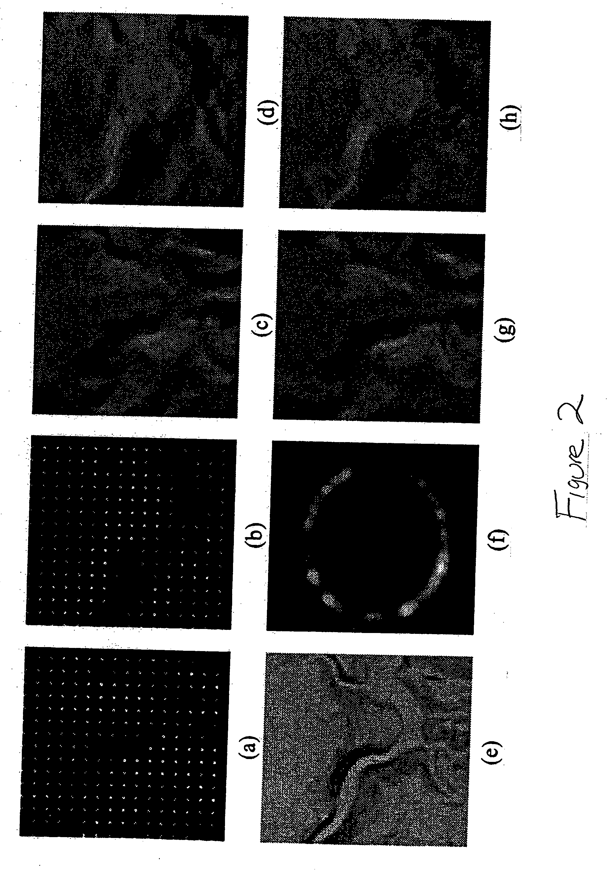 Method and apparatus for propagating high resolution detail between multimodal data sets