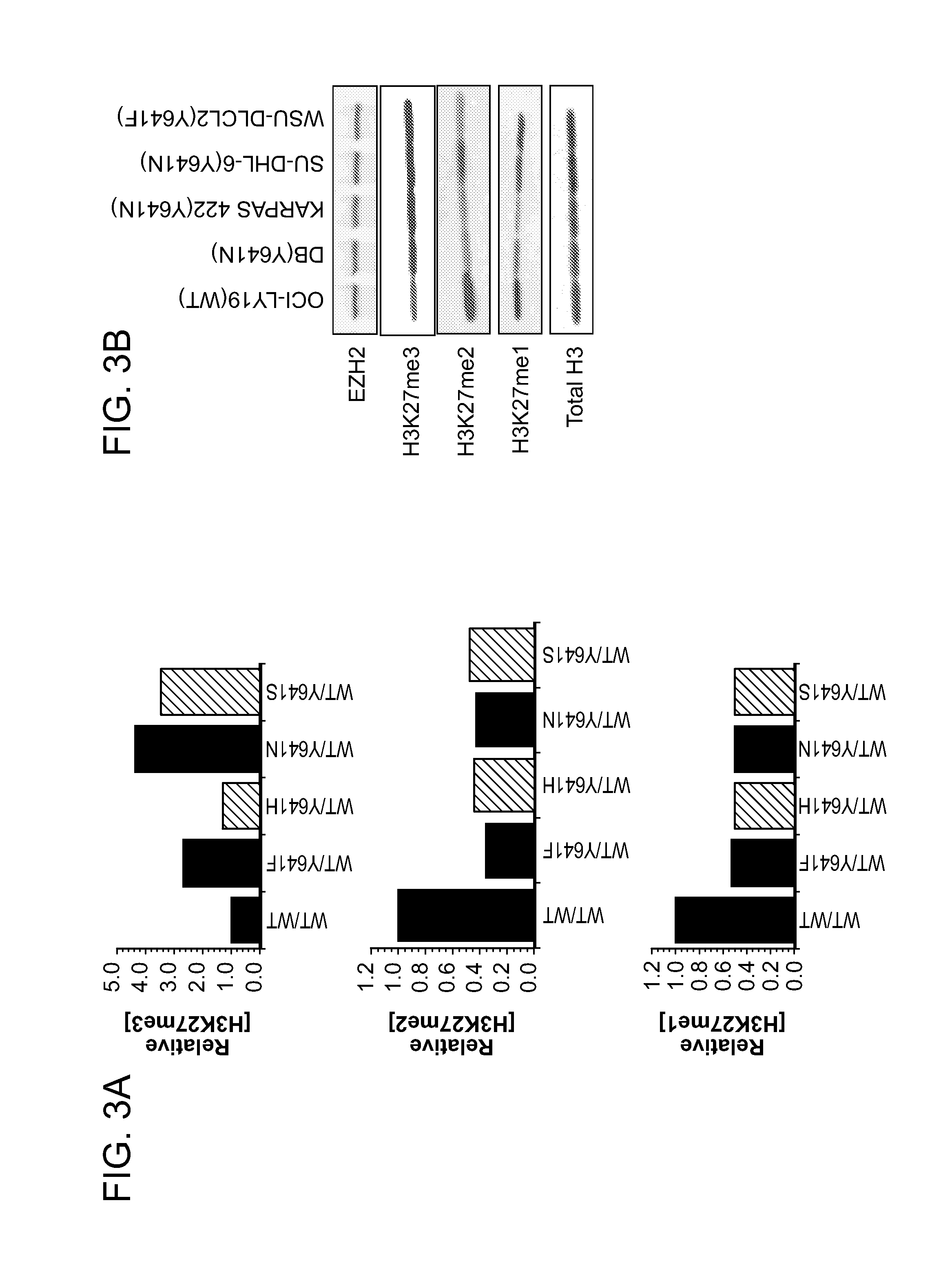 Inhibitors of Human EZH2 and Methods of Use Thereof