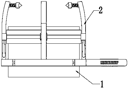 Peeling device capable of adjusting peeling size on four-petal citrus peel