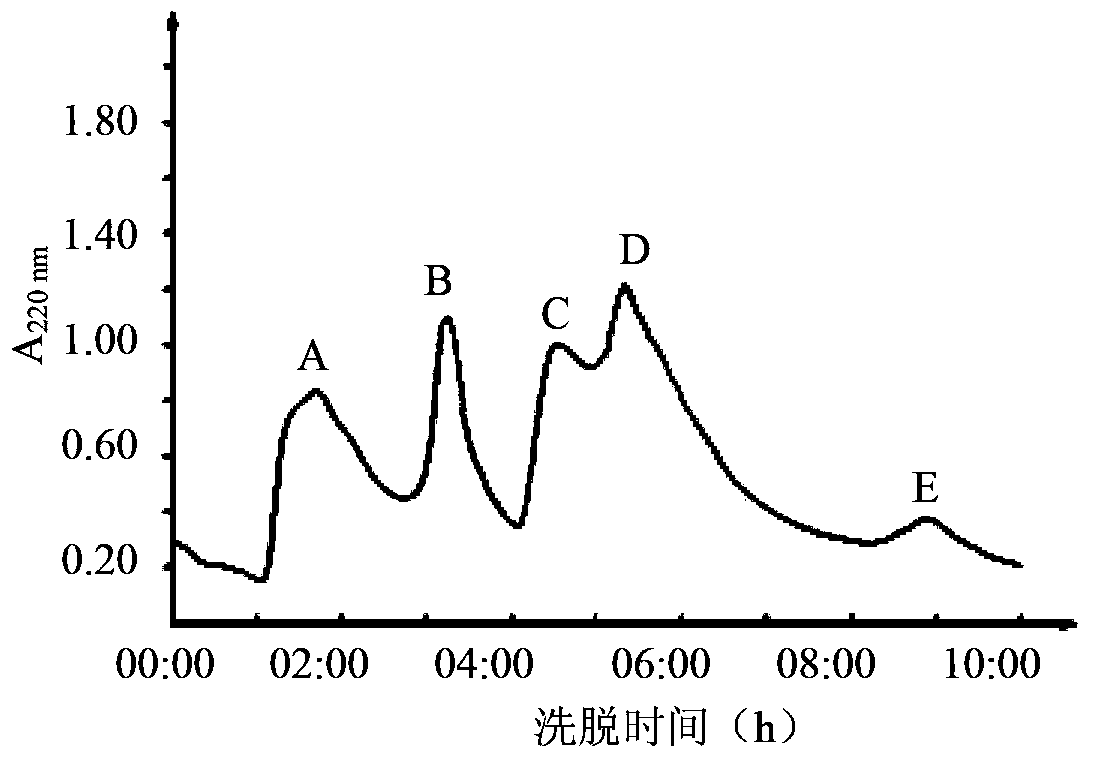 Wheat germ protein source antioxidative peptide, and preparation method and application thereof