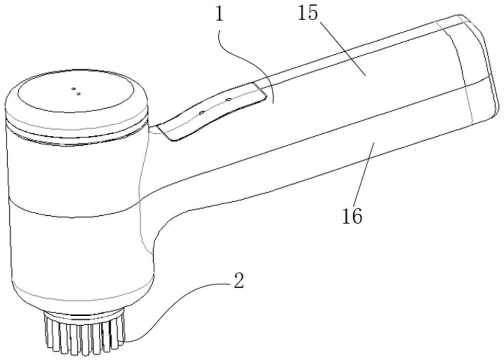 Brushing device