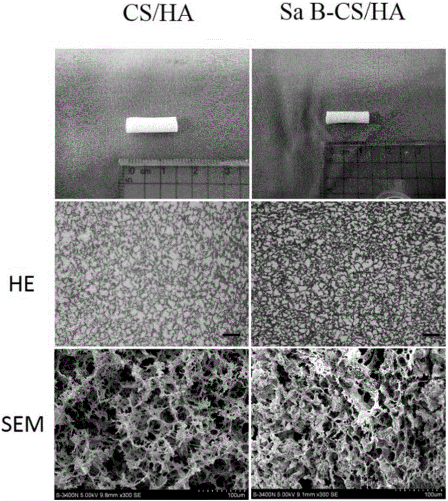 Synthetic stent for promoting growth of bone cells and making method thereof