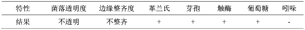 A kind of bacillus amyloliquefaciens and application thereof for preventing and treating strawberry wilt