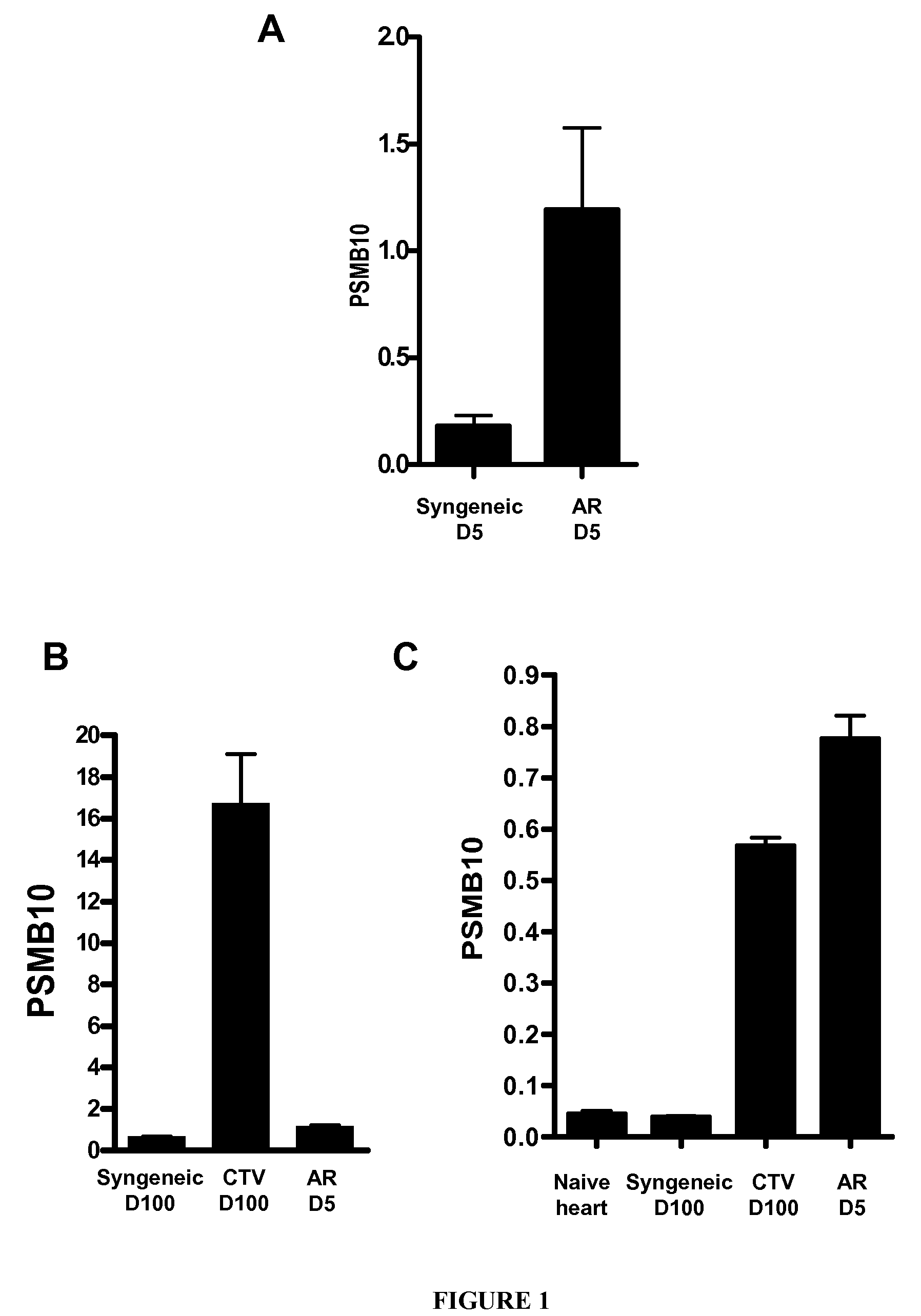 Psmb10: a diagnosis marker and therapeutic target of chronic rejection