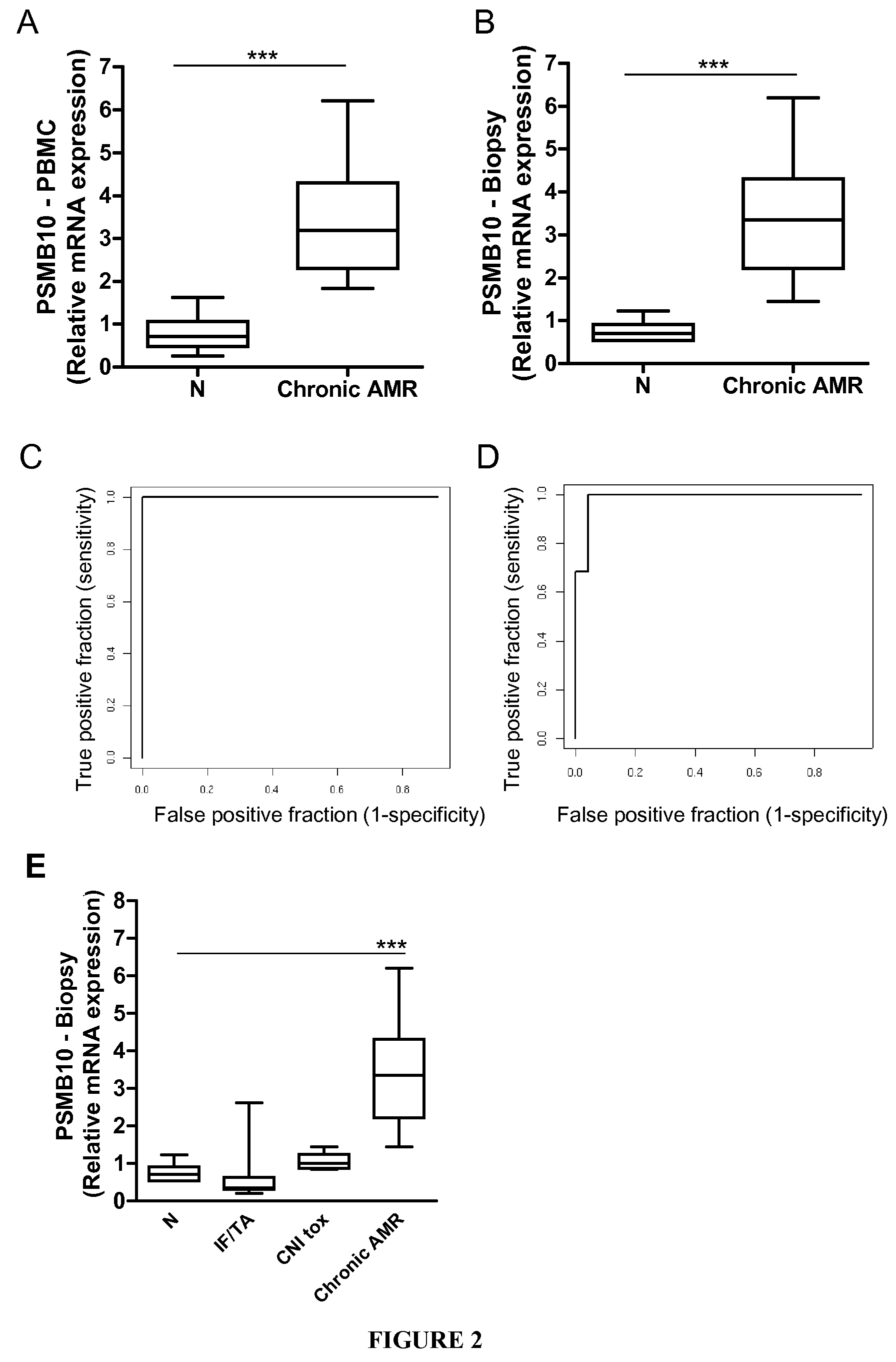 Psmb10: a diagnosis marker and therapeutic target of chronic rejection