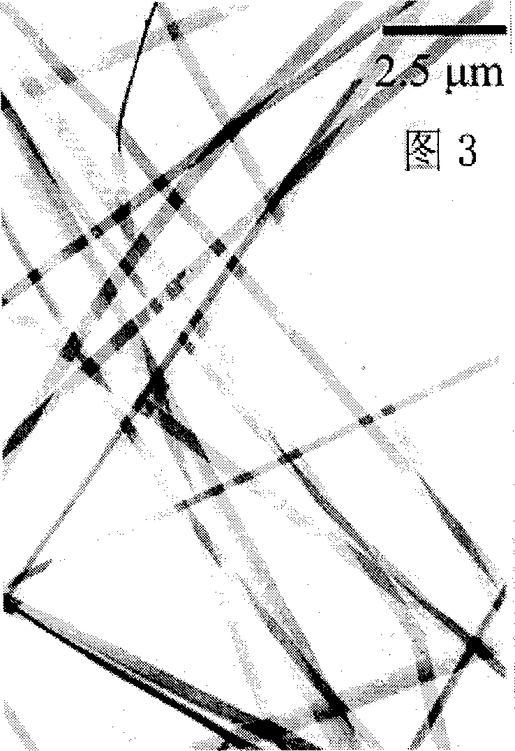 Tactic zinc oxide granular one dimension mesoporous nano belt and precursor and its preparing method