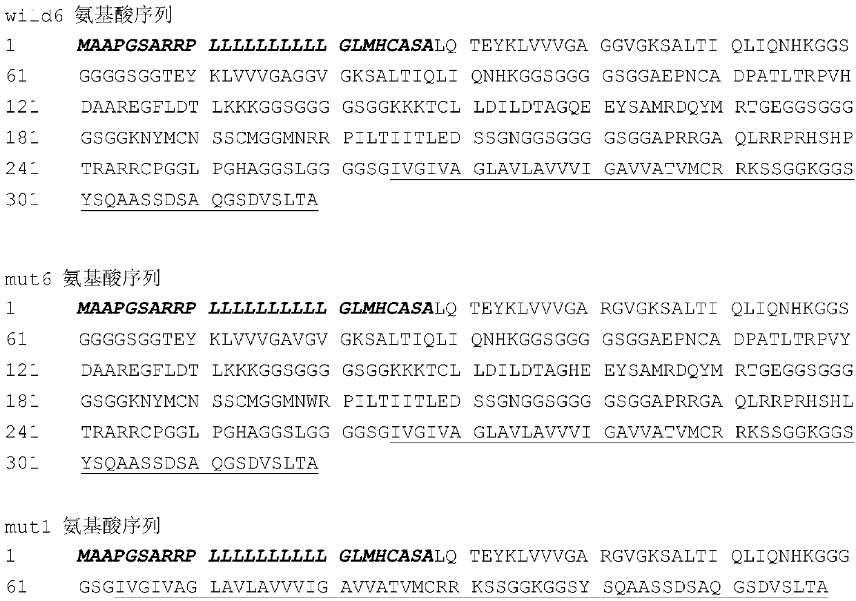 Universal polypeptide vaccine and application thereof in preparing drugs for treating/preventing pancreatic cancers